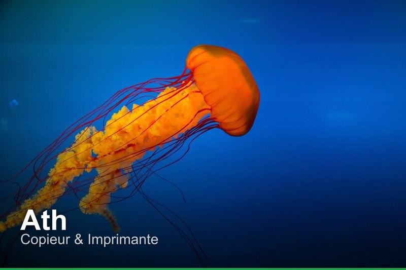 Copieur & Imprimante à Ath, Belgique - Trouvez un professionnel