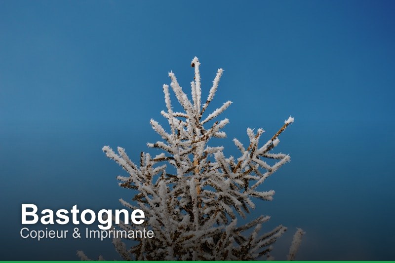 Copieur & Imprimante à Bastogne, Belgique - Trouvez un professionnel