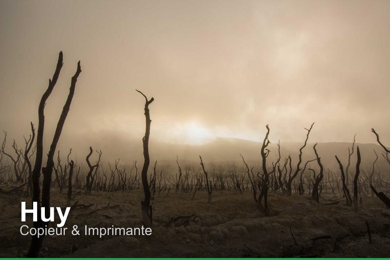 Copieur & Imprimante à Huy, Belgique - Trouvez un professionnel