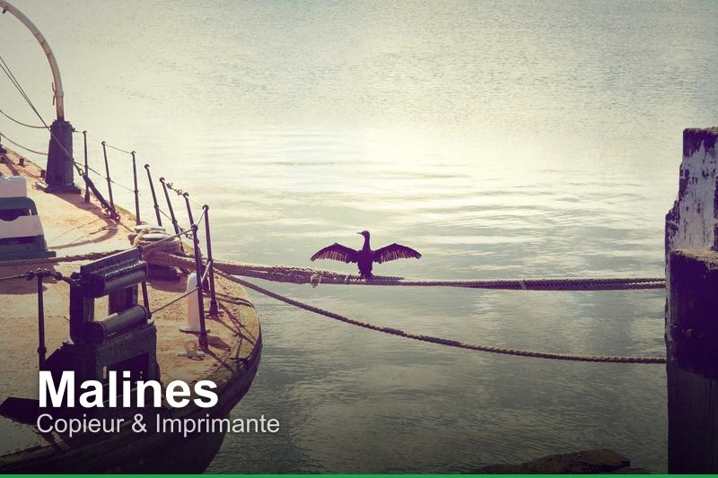 Copieur & Imprimante à Malines, Belgique - Trouvez un professionnel