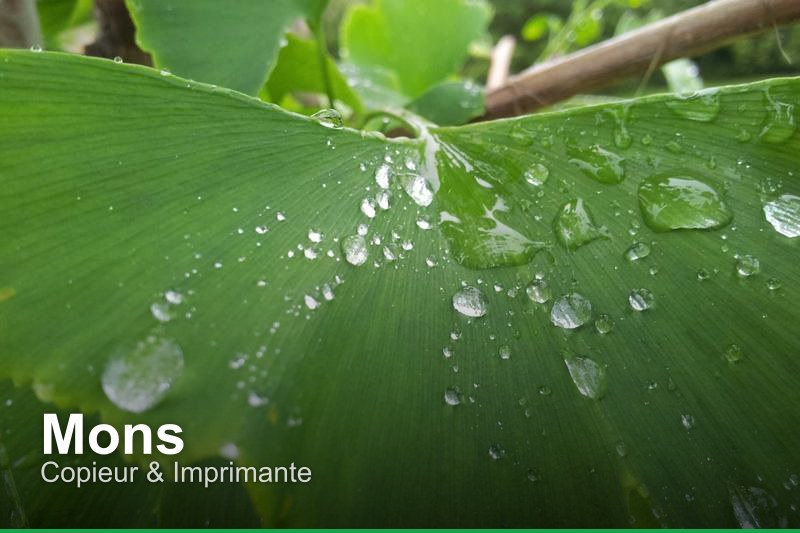 Copieur & Imprimante à Mons, Belgique - Trouvez un professionnel