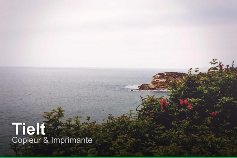 Copieur & Imprimante à Tielt, Belgique - Trouvez un professionnel